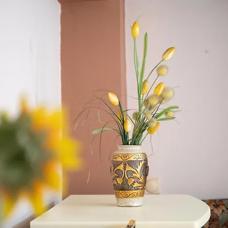 Mm Near Center, Free Parking Apartment Skopje