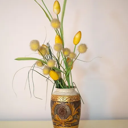 Appartement Mm Near Center, Free Parking *